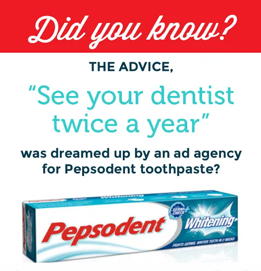 Should you say no to a biannual dental checkup? illustration