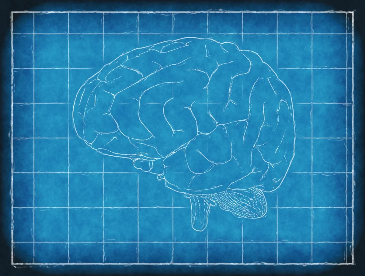 Brain Health